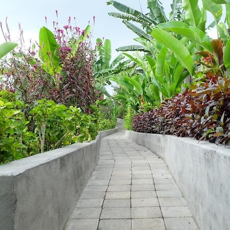 Rendira Villa 2 乌布 外观 照片