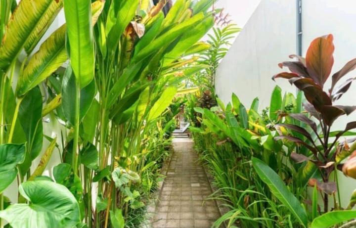 Rendira Villa 2 乌布 外观 照片